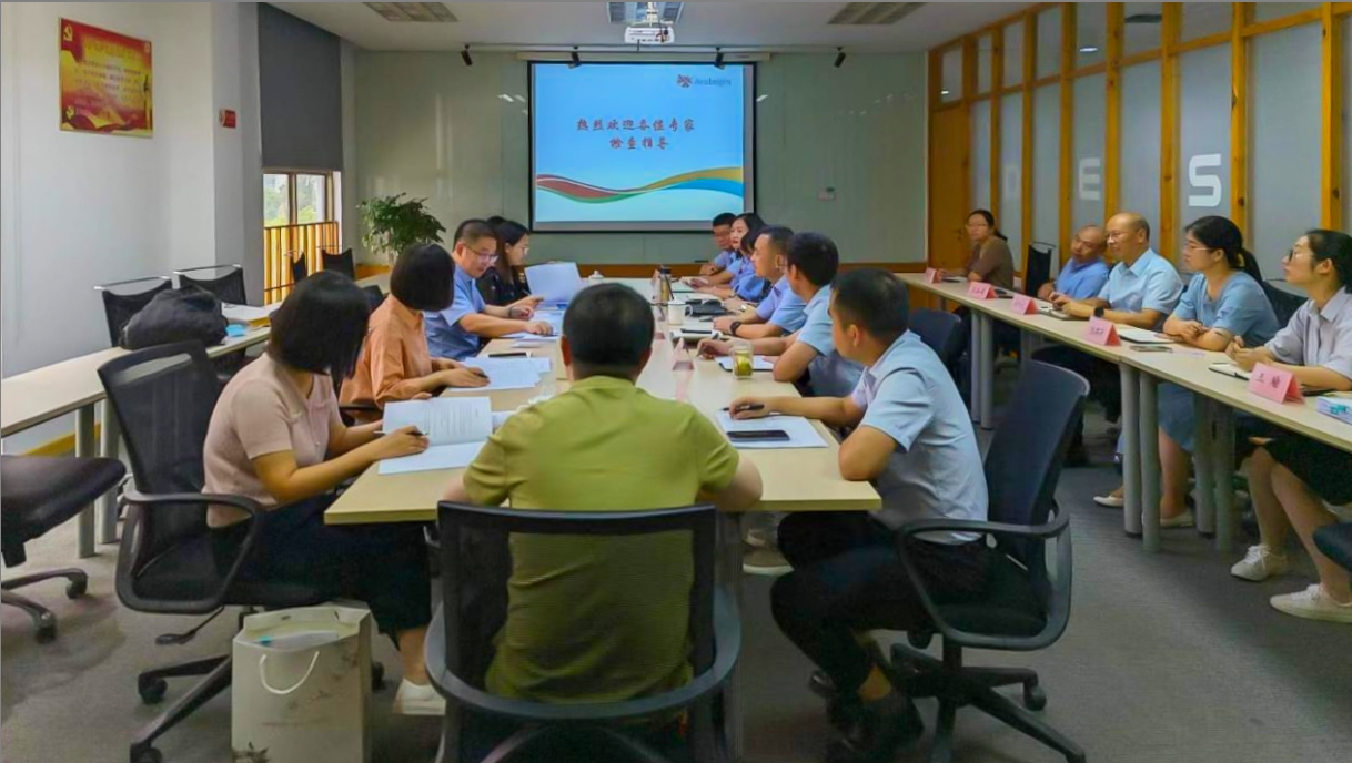 拼搏在线手机版（大中国区）顺利通过舒更注册现场核查与小针GMP符合性二合一检查